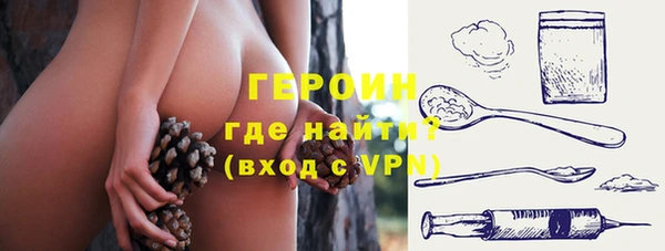 индика Абаза