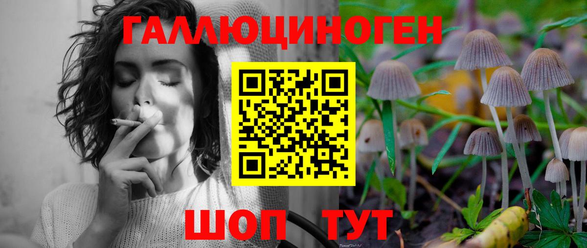 Галлюциногенные грибы Magic Shrooms  Вход с VPN  Чапаевск  Галлюциногенные грибы ЛСД 